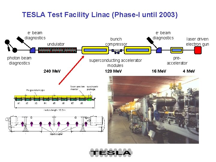 TESLA Test Facility Linac (Phase-I until 2003) e- beam diagnostics undulator photon beam diagnostics