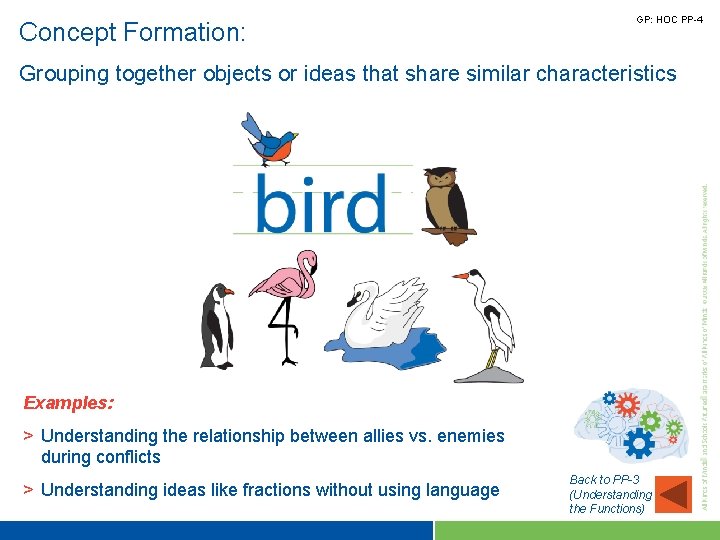 Concept Formation: GP: HOC PP-4 Grouping together objects or ideas that share similar characteristics