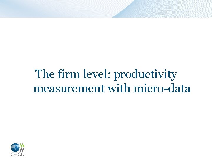 The firm level: productivity measurement with micro-data 18 