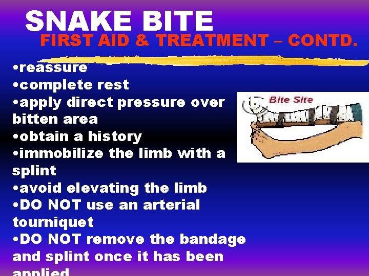 SNAKE BITE FIRST AID & TREATMENT – CONTD. • reassure • complete rest • SNAKE BITE FIRST AID & TREATMENT – CONTD. • reassure • complete rest •