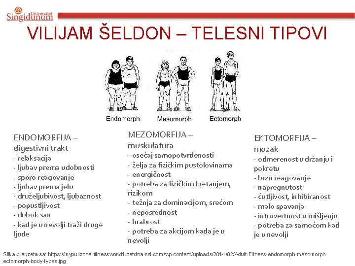 VILIJAM ŠELDON – TELESNI TIPOVI ENDOMORFIJA – digestivni trakt - relaksacija - ljubav prema