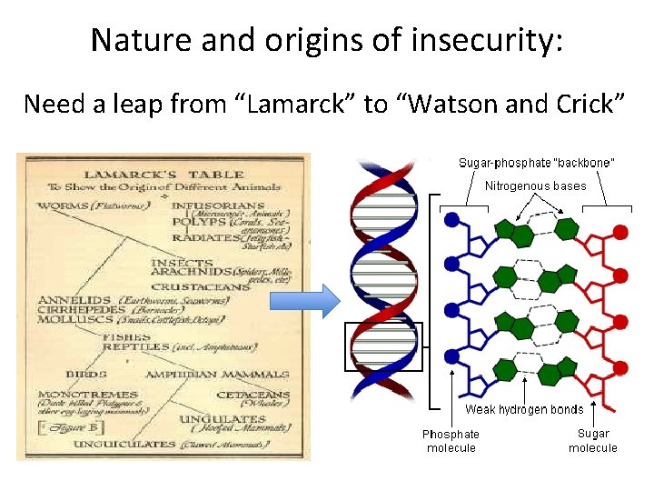 Nature and origins of insecurity: Need a leap from “Lamarck” to “Watson and Crick”