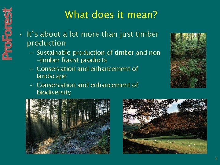 What does it mean? • It’s about a lot more than just timber production