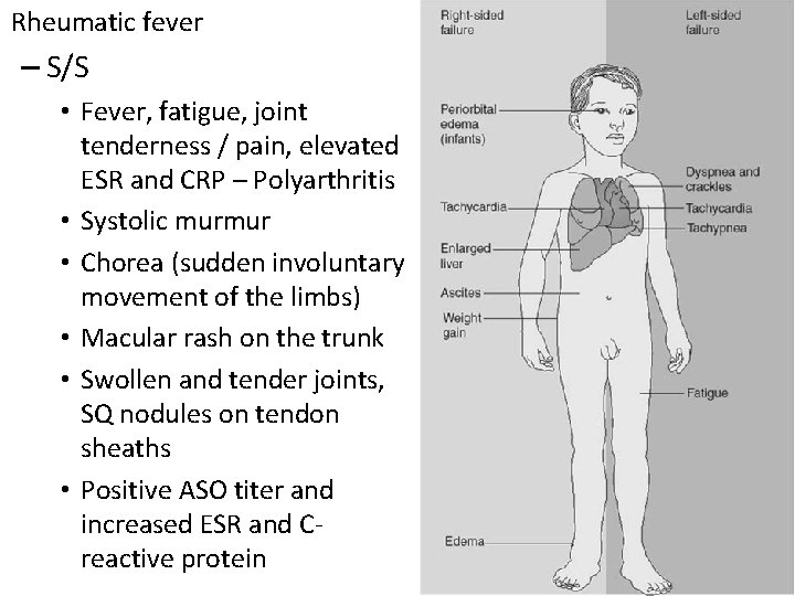 Rheumatic fever – S/S • Fever, fatigue, joint tenderness / pain, elevated ESR and