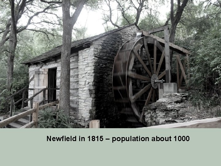 Newfield in 1815 – population about 1000 