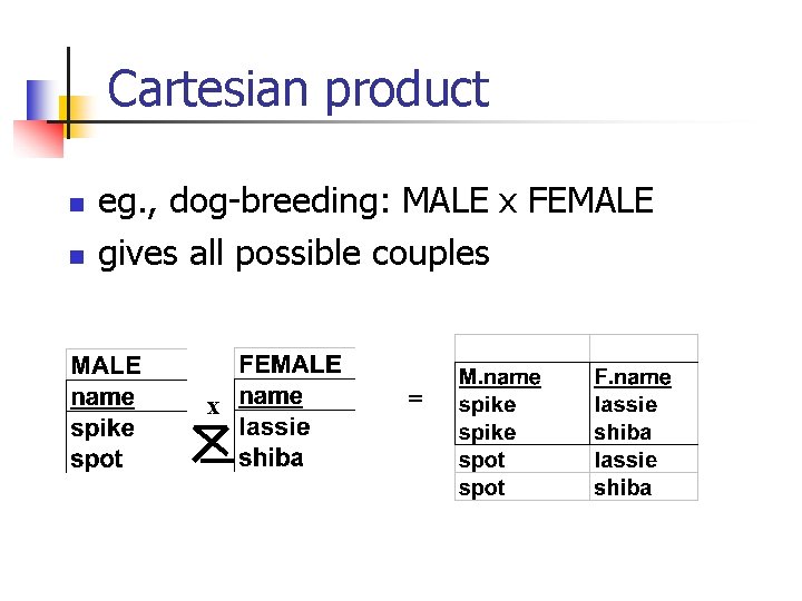 Cartesian product n n eg. , dog-breeding: MALE x FEMALE gives all possible couples