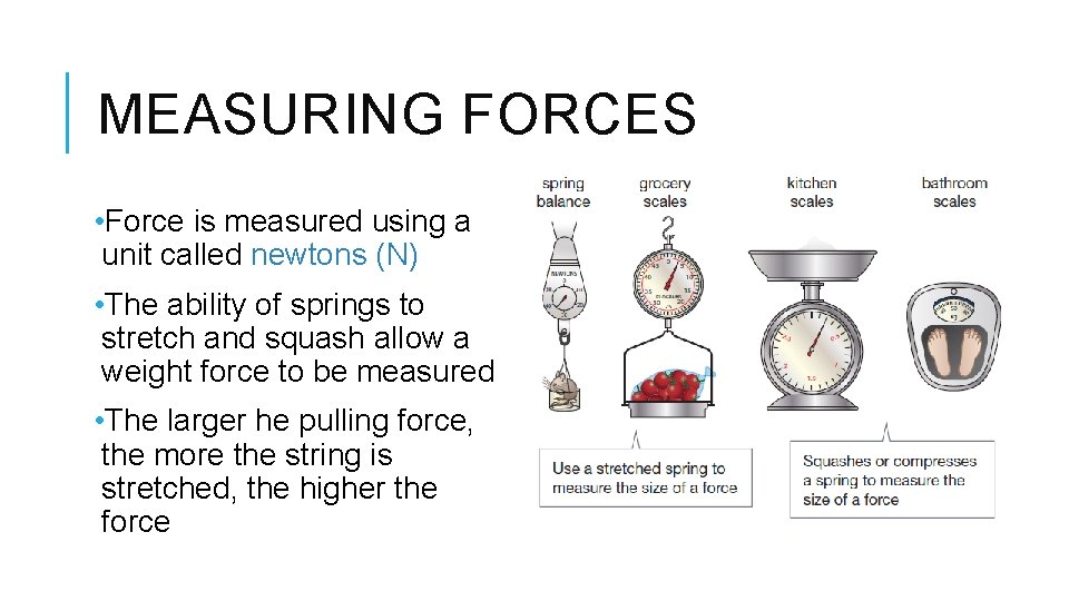 MEASURING FORCES • Force is measured using a unit called newtons (N) • The