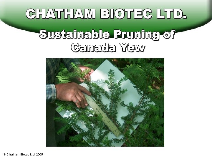 © Chatham Biotec Ltd. 2005 