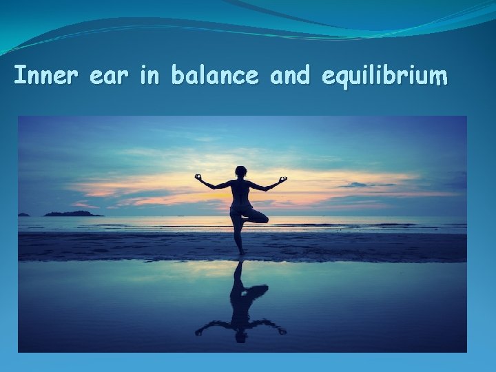 Inner ear in balance and equilibrium 