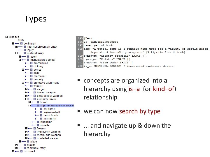 Types § concepts are organized into a hierarchy using is–a (or kind–of) relationship §