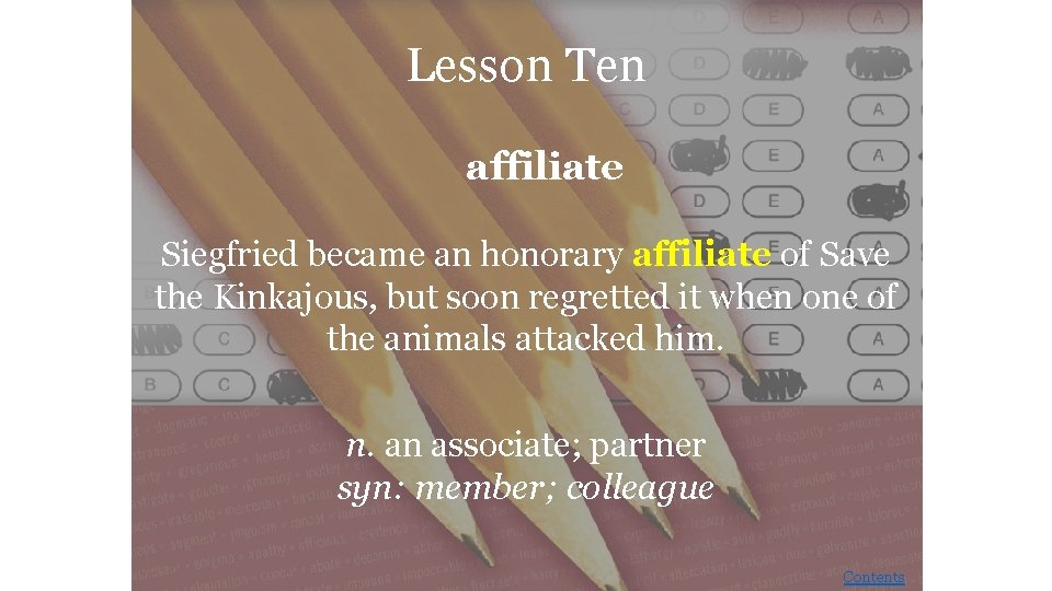 Lesson Ten affiliate Siegfried became an honorary affiliate of Save the Kinkajous, but soon