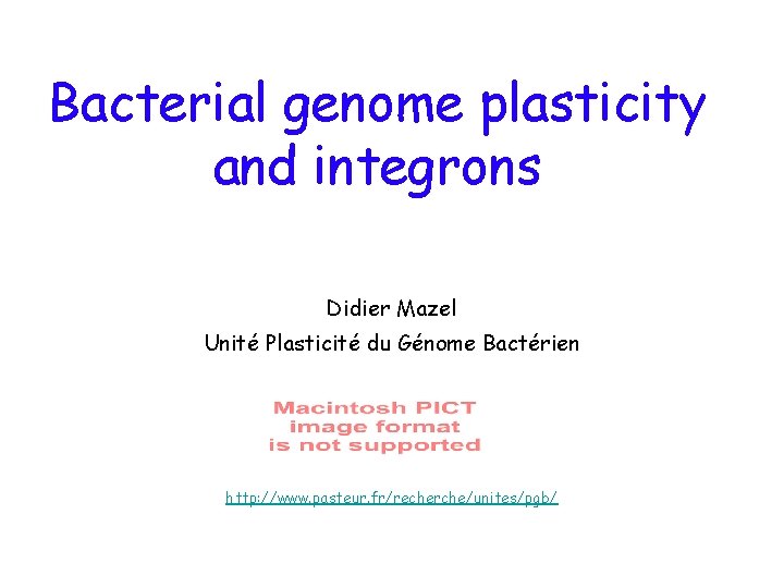 Bacterial genome plasticity and integrons Didier Mazel Unité Plasticité du Génome Bactérien http: //www.