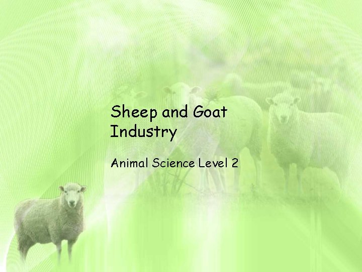 Sheep and Goat Industry Animal Science Level 2 