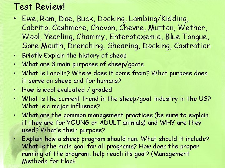 Test Review! • Ewe, Ram, Doe, Buck, Docking, Lambing/Kidding, Cabrito, Cashmere, Chevon, Chevre, Mutton,