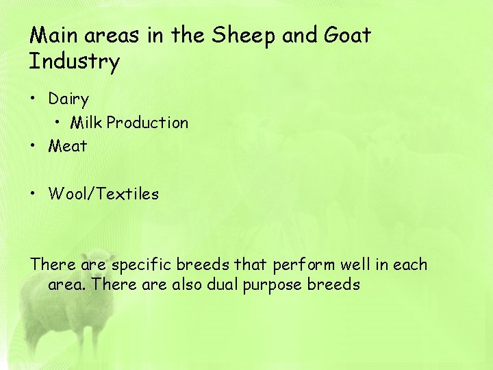 Main areas in the Sheep and Goat Industry • Dairy • Milk Production •