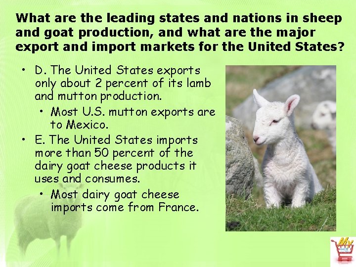 What are the leading states and nations in sheep and goat production, and what