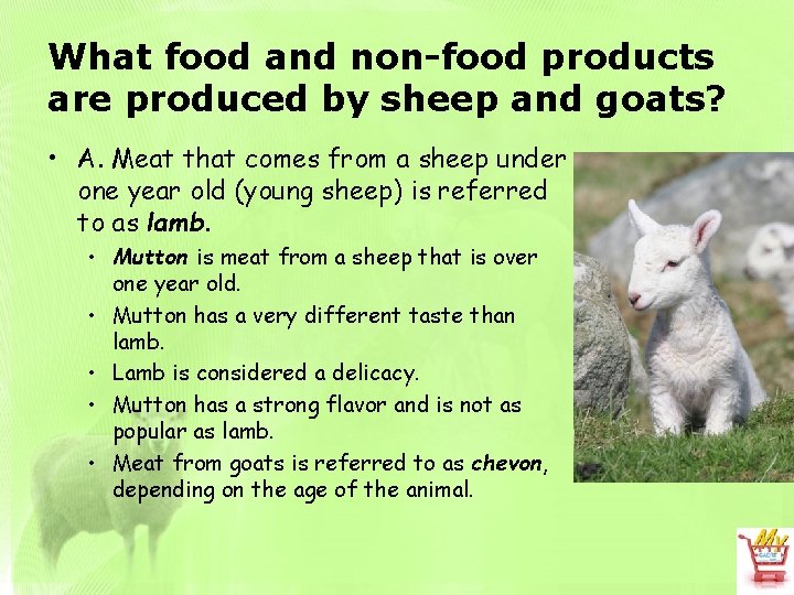 What food and non-food products are produced by sheep and goats? • A. Meat