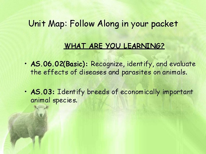 Unit Map: Follow Along in your packet WHAT ARE YOU LEARNING? • AS. 06.