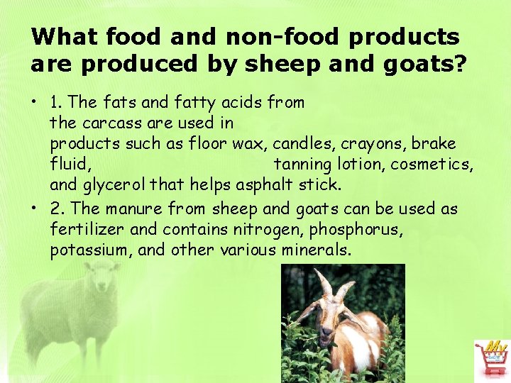 What food and non-food products are produced by sheep and goats? • 1. The