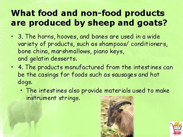 What food and non-food products are produced by sheep and goats? • 3. The
