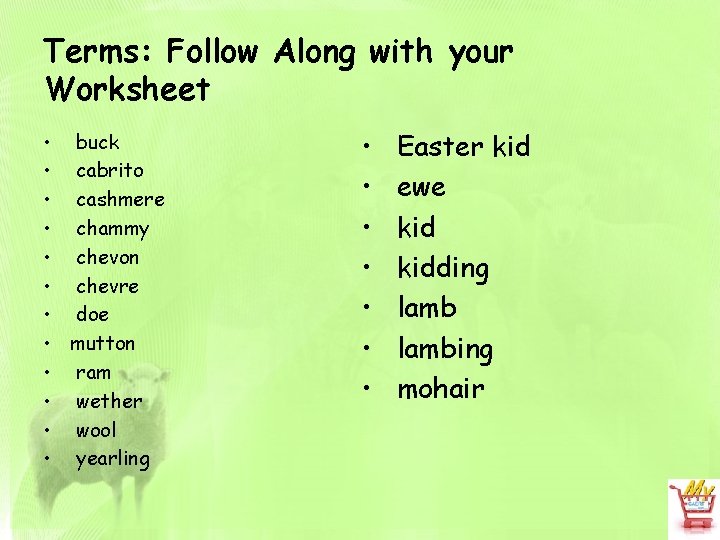 Terms: Follow Along with your Worksheet • buck • cabrito • cashmere • chammy