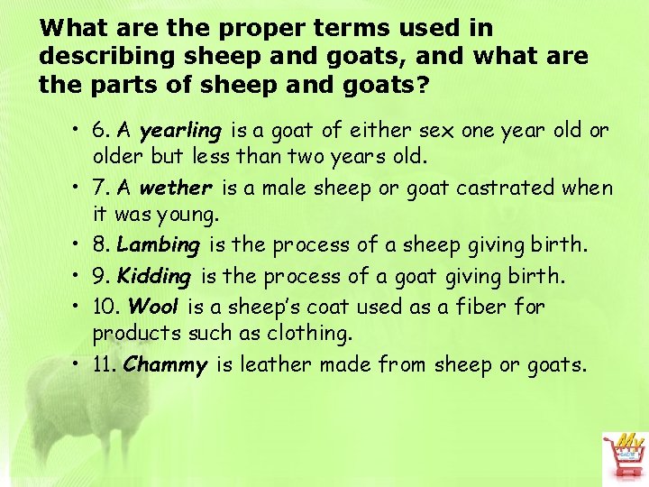 What are the proper terms used in describing sheep and goats, and what are