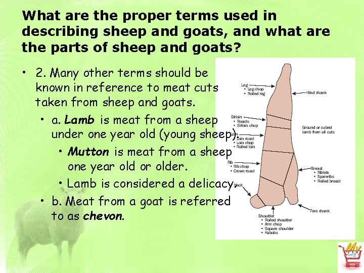 What are the proper terms used in describing sheep and goats, and what are