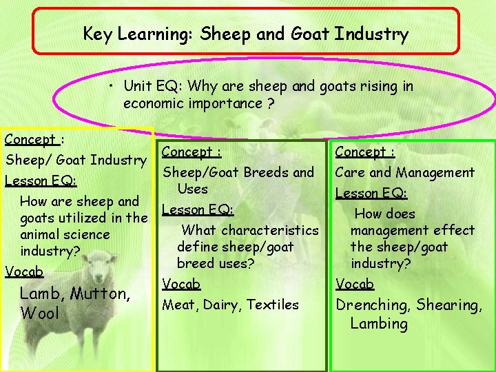 Key Learning: Sheep and Goat Industry • Unit EQ: Why are sheep and goats