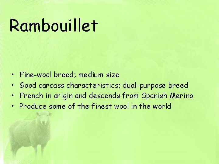 Rambouillet • • Fine-wool breed; medium size Good carcass characteristics; dual-purpose breed French in