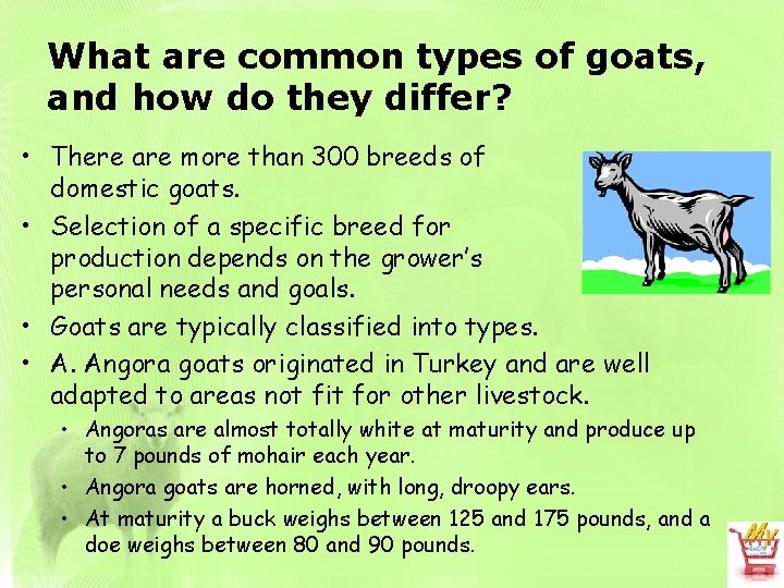What are common types of goats, and how do they differ? • There are