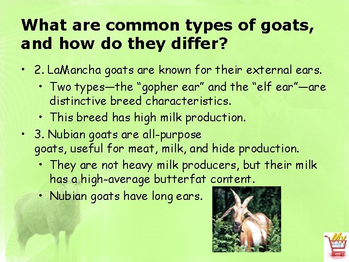 What are common types of goats, and how do they differ? • 2. La.