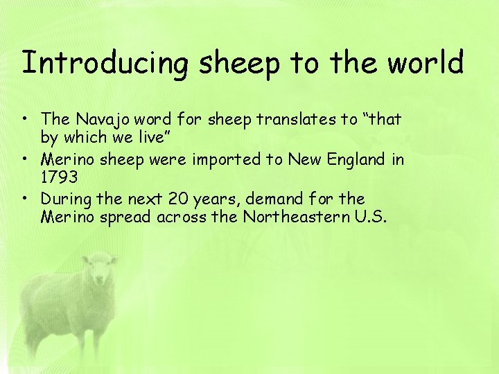 Introducing sheep to the world • The Navajo word for sheep translates to “that