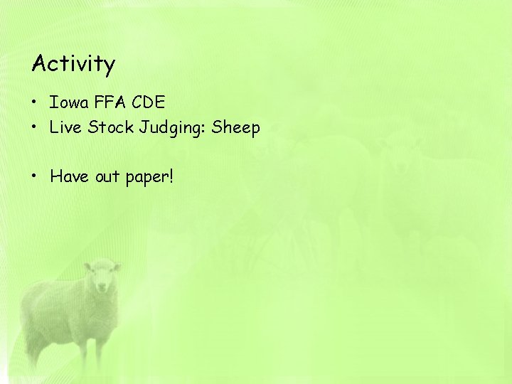 Activity • Iowa FFA CDE • Live Stock Judging: Sheep • Have out paper!