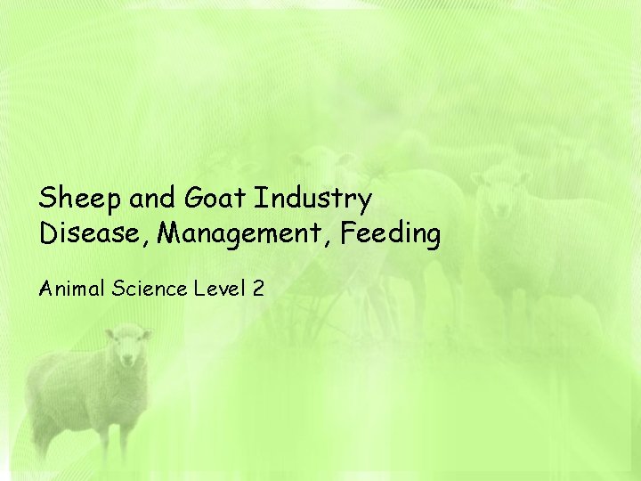 Sheep and Goat Industry Disease, Management, Feeding Animal Science Level 2 