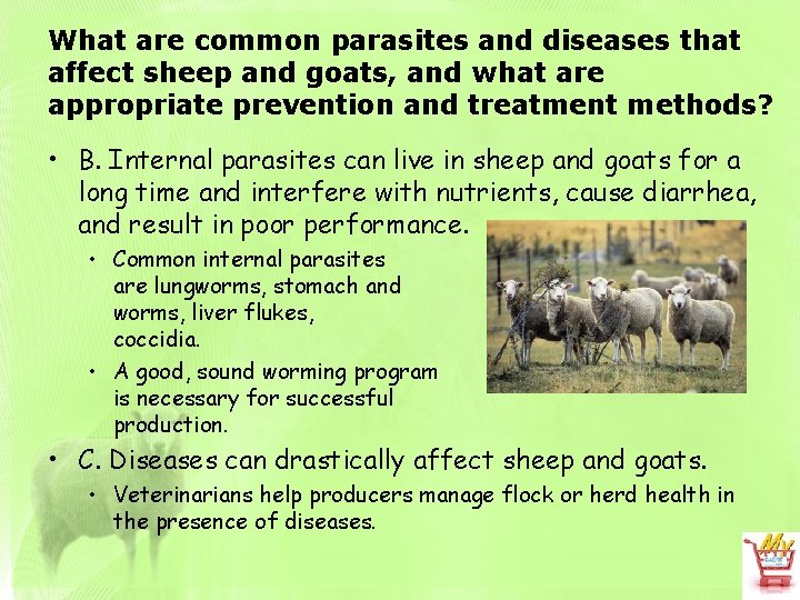 What are common parasites and diseases that affect sheep and goats, and what are