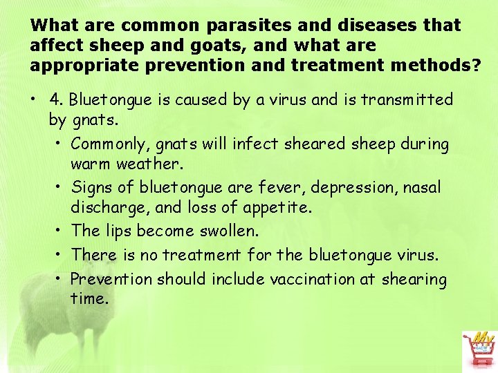 What are common parasites and diseases that affect sheep and goats, and what are