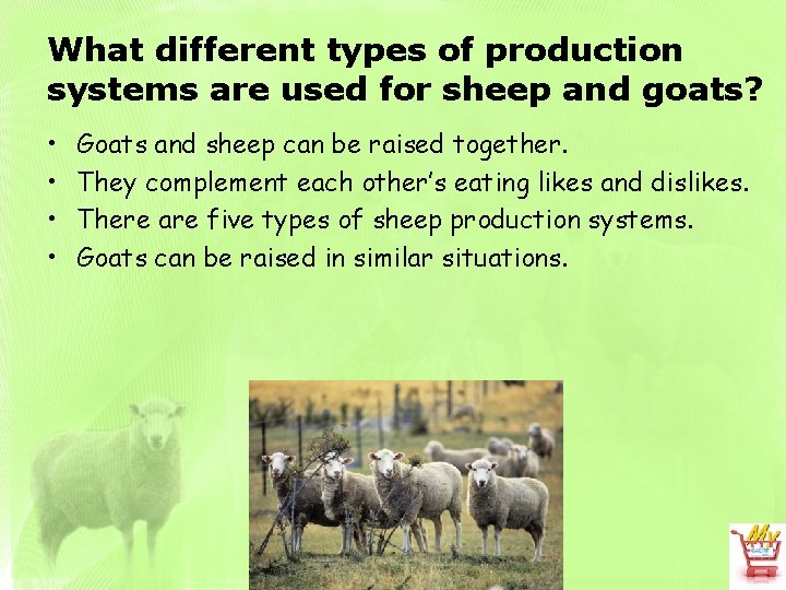 What different types of production systems are used for sheep and goats? • •