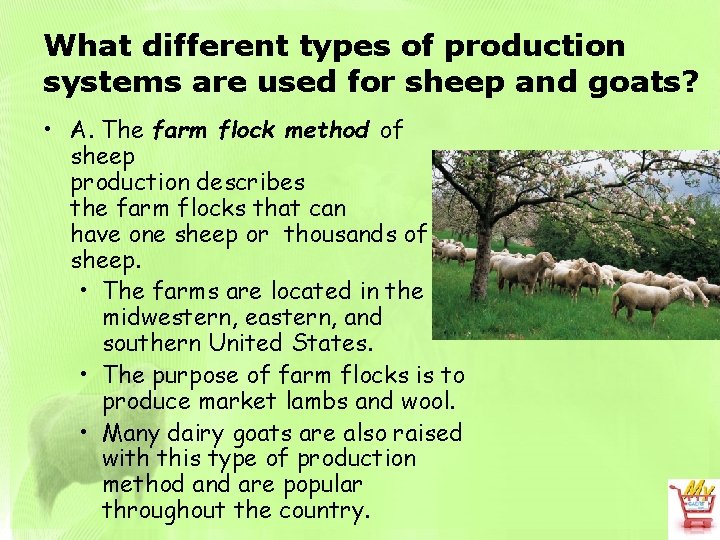 What different types of production systems are used for sheep and goats? • A.
