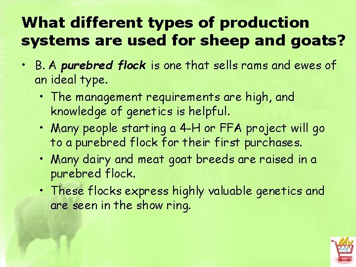 What different types of production systems are used for sheep and goats? • B.
