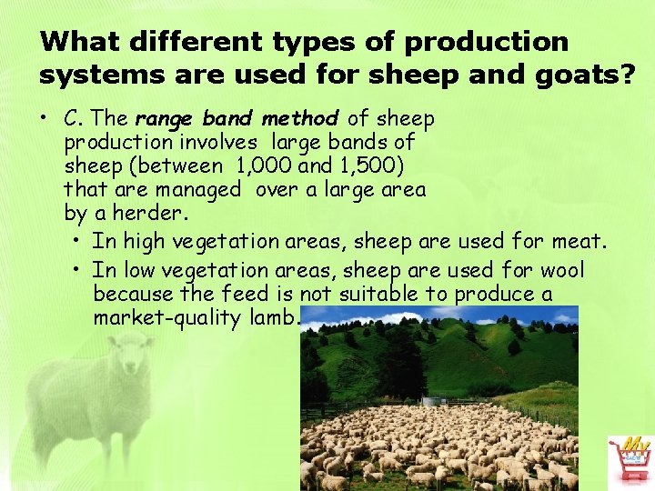 What different types of production systems are used for sheep and goats? • C.