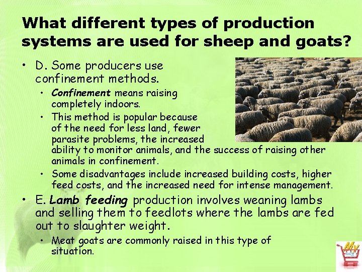 What different types of production systems are used for sheep and goats? • D.