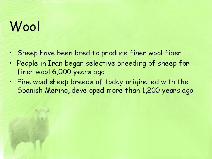 Wool • Sheep have been bred to produce finer wool fiber • People in