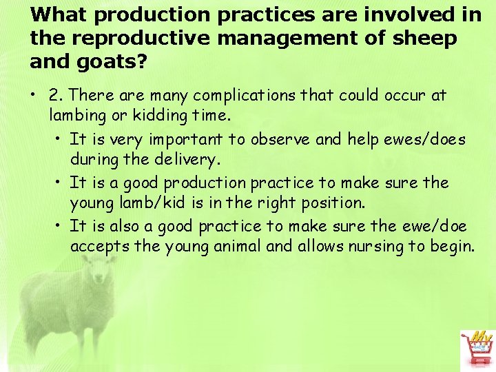 What production practices are involved in the reproductive management of sheep and goats? •