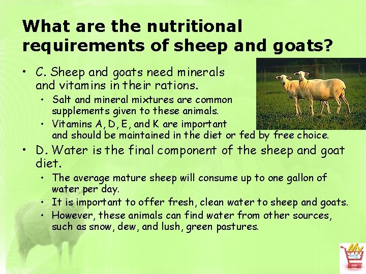 What are the nutritional requirements of sheep and goats? • C. Sheep and goats