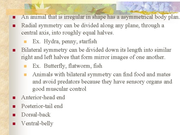 n n n n An animal that is irregular in shape has a asymmetrical