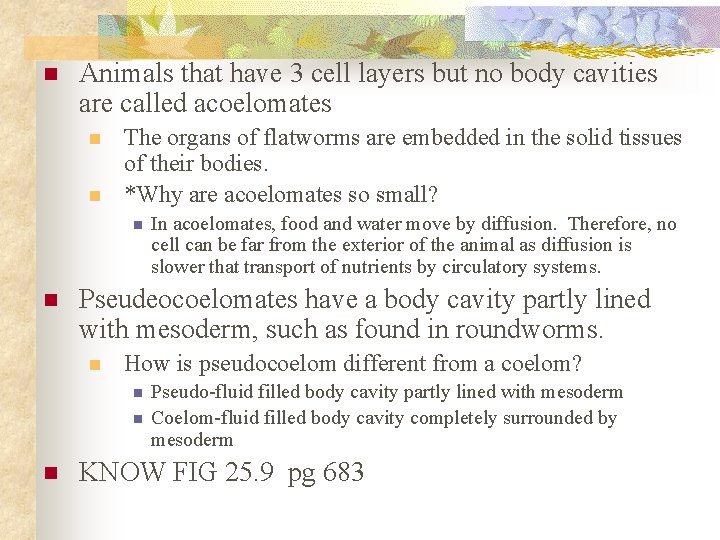n Animals that have 3 cell layers but no body cavities are called acoelomates