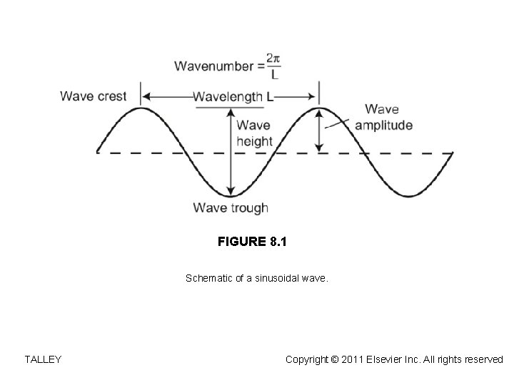 FIGURE 8. 1 Schematic of a sinusoidal wave. TALLEY Copyright © 2011 Elsevier Inc.
