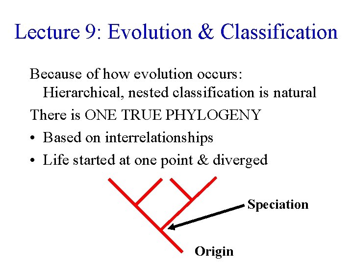 Lecture 9: Evolution & Classification Because of how evolution occurs: Hierarchical, nested classification is