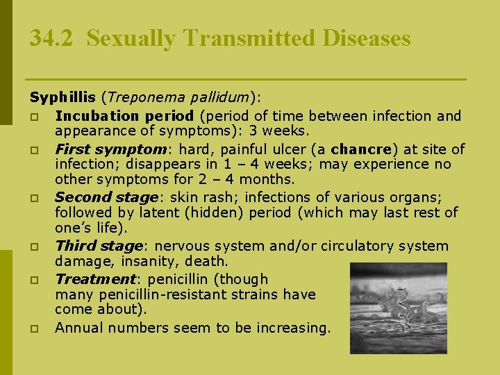 34. 2 Sexually Transmitted Diseases Syphillis (Treponema pallidum): p Incubation period (period of time