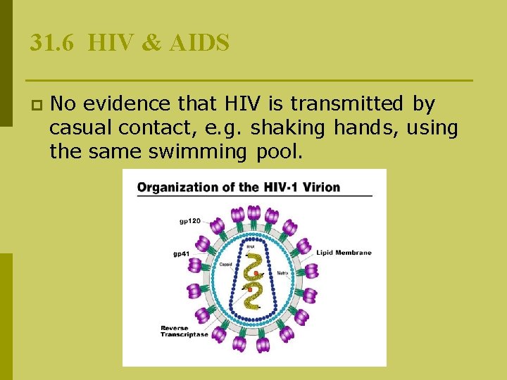 31. 6 HIV & AIDS p No evidence that HIV is transmitted by casual